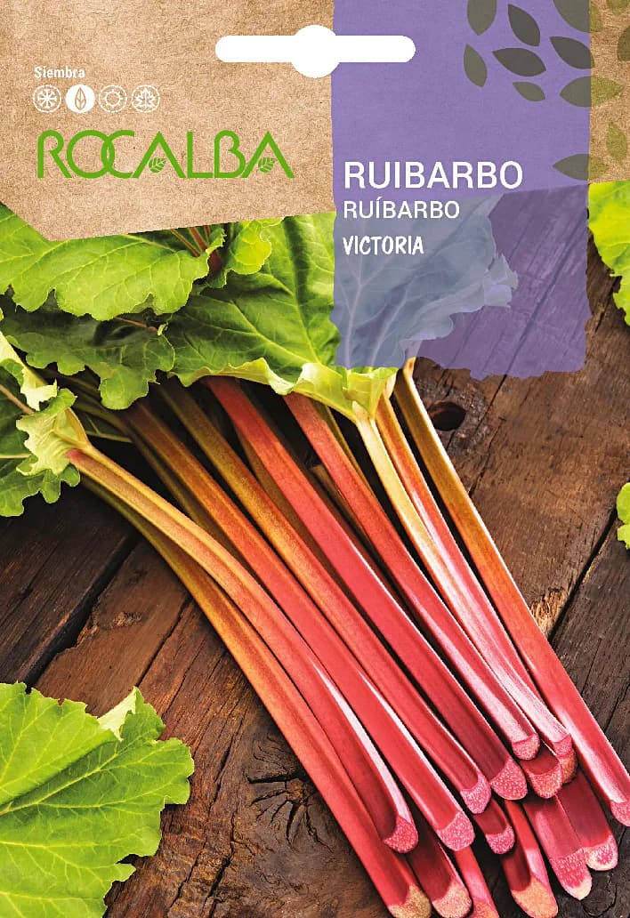 Semilla Ruibarbo — foto principal