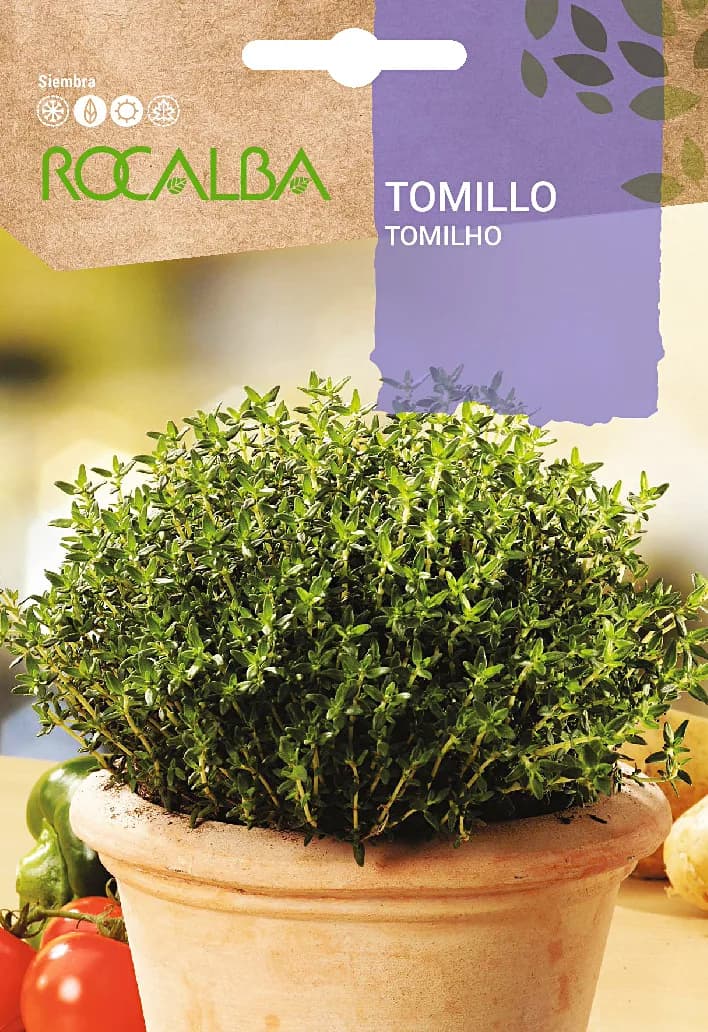 Semilla Tomillo — foto principal