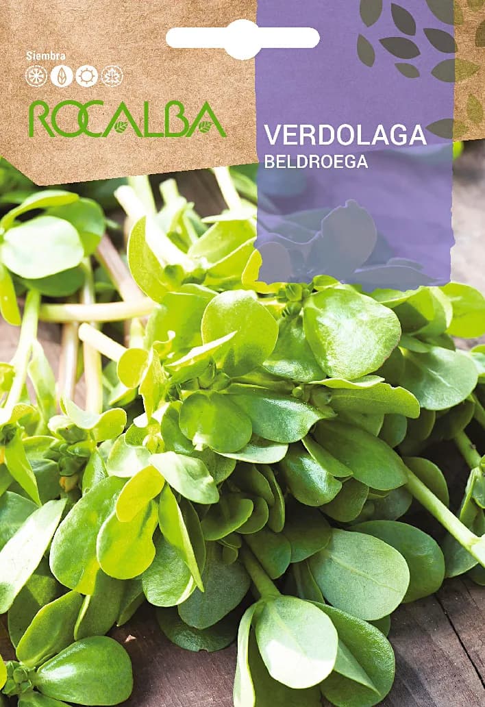 Semilla Verdolaga — foto principal