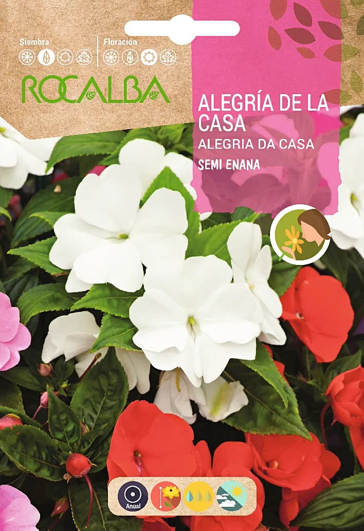 Semilla Alegria de la Casa Semi Enana, Variada — foto principal