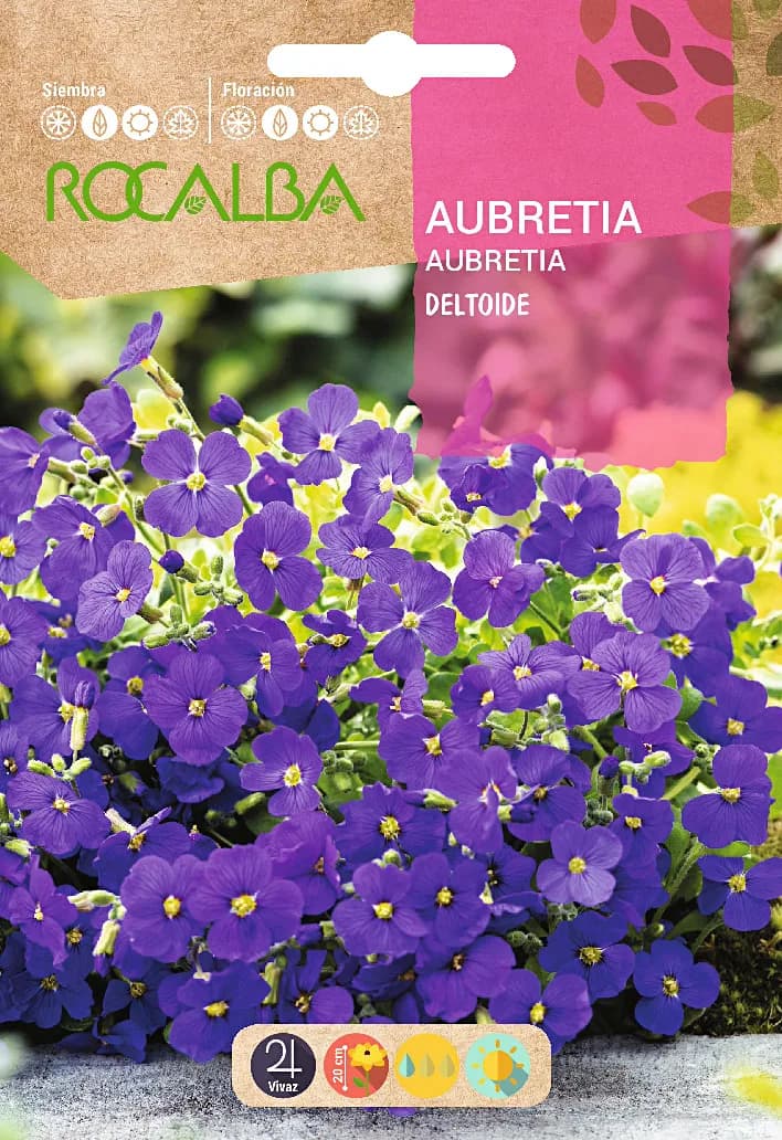 Semilla Aubretia Deltoide Purpura Violeta — foto principal
