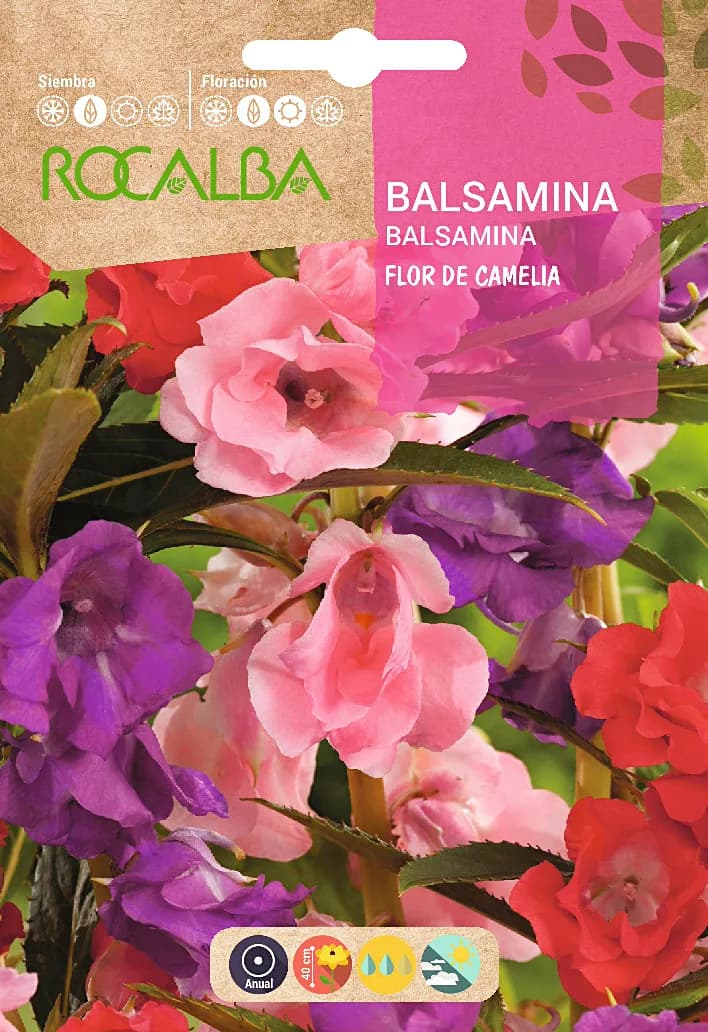 Semilla Balsamina Flor de Camelia Variada — foto principal