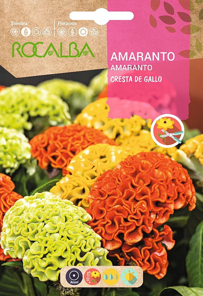 Semilla Amaranto Cresta de Gallo Variado — foto principal