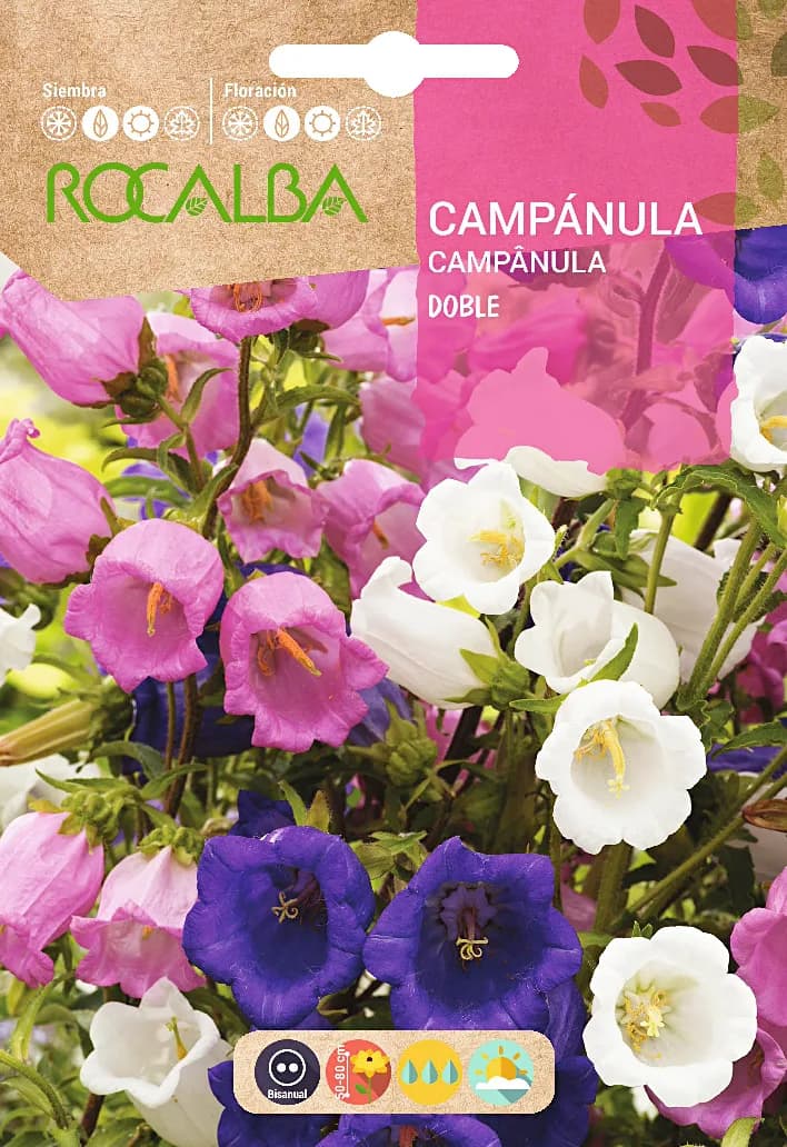 Semilla Campanula Doble Variada — foto principal