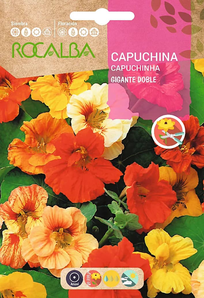 Semilla Capuchina Gigante Doble Variada — foto principal