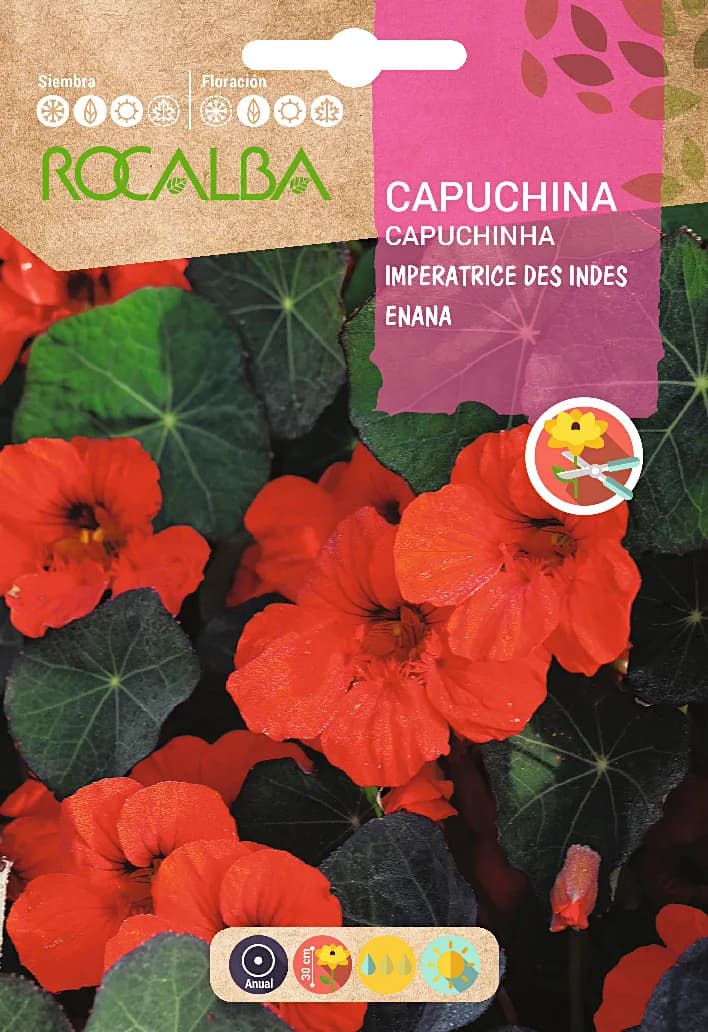 Semilla Capuchina Imperatrice Des Indes Enana — foto principal