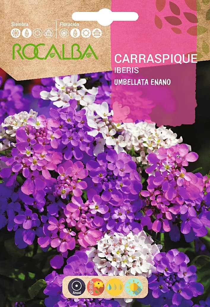 Semilla Carraspique Umbellata Enano Variado — foto principal