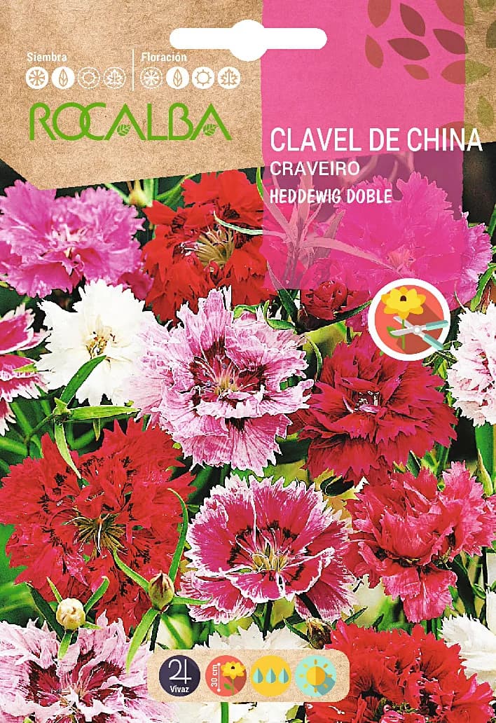 Semilla Clavel de China Heddewig Doble Variado — foto principal