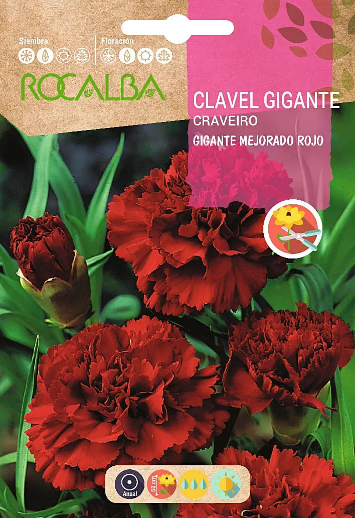 Semilla Clavel Gigante Mejorado, Rojo — foto principal