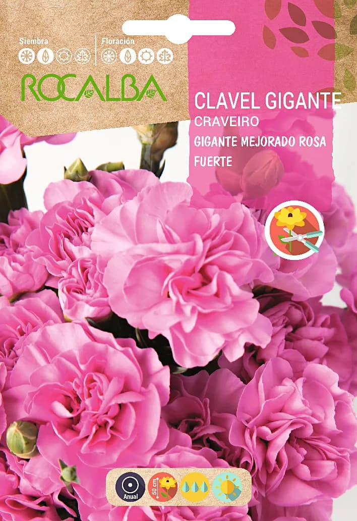 Semilla Clavel Gigante Mejorado Rosa Fuerte — foto principal