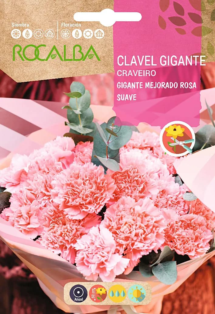 Semilla Clavel Gigante Mejorado Rosa Suave — foto principal