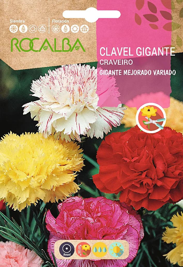Semilla Clavel Gigante Mejorado, Variado — foto principal