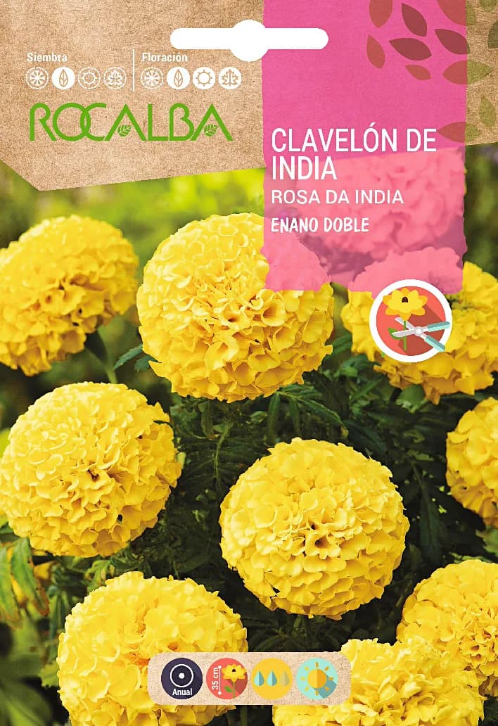 Semilla Clavelon Rosa de India Enano Doble,amar. — foto principal