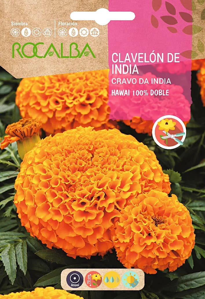 Semilla Clavelon Rosa de India Hawai 100% Doble — foto principal