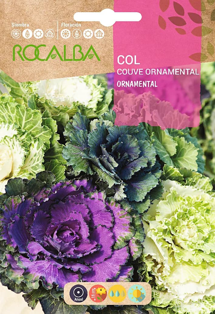 Semilla Col Ornamental Variada — foto principal