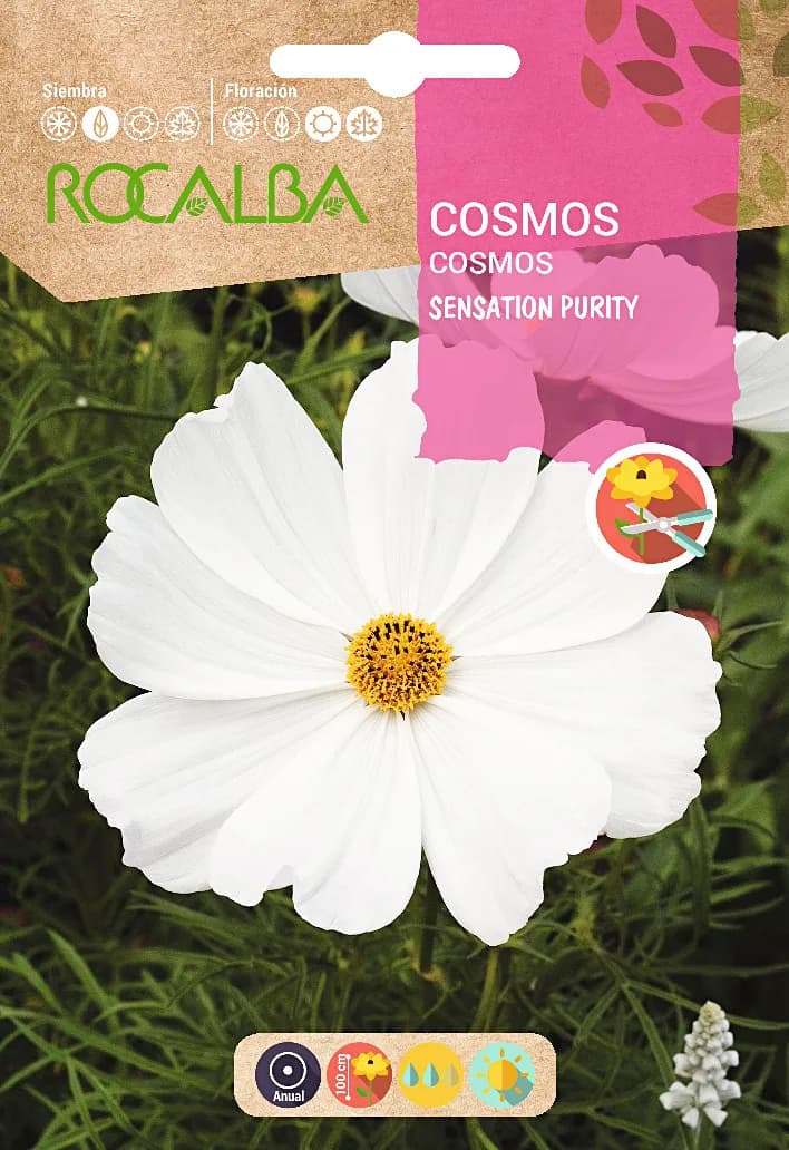 Semilla Cosmos Sensation Perity Blanco — foto principal