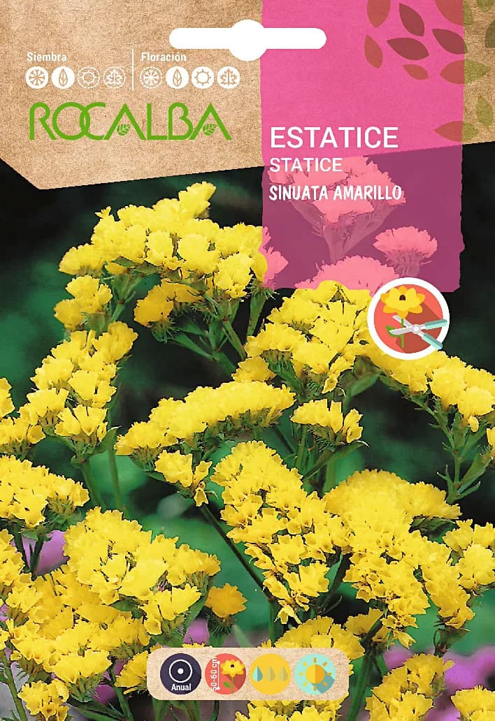 Semilla Estatice Sinuata Amarillo — foto principal