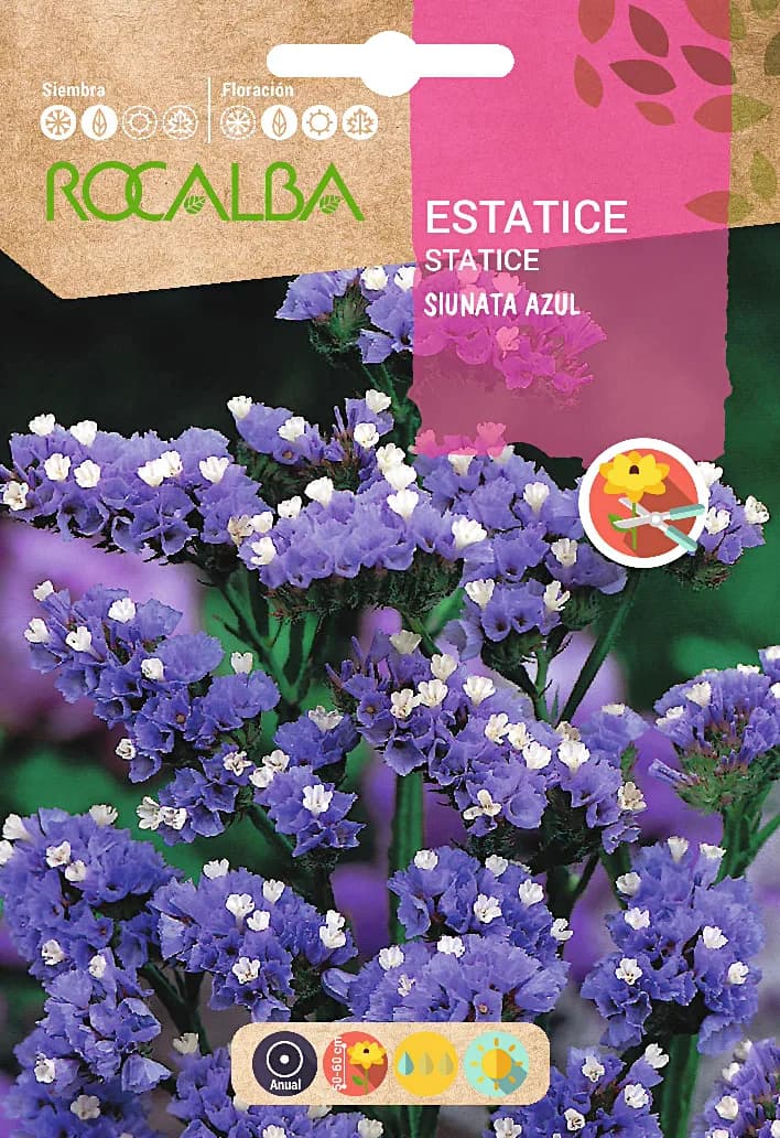 Semilla Estatice Sinata Azul — foto principal