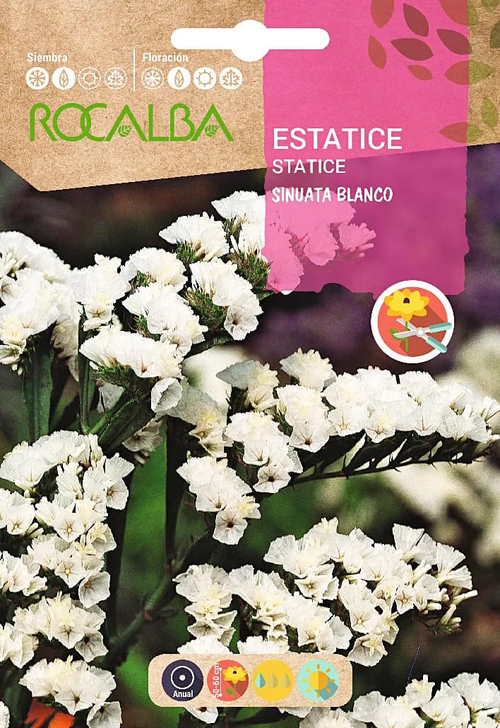Semilla Estatice Sinuata Blanco — foto principal