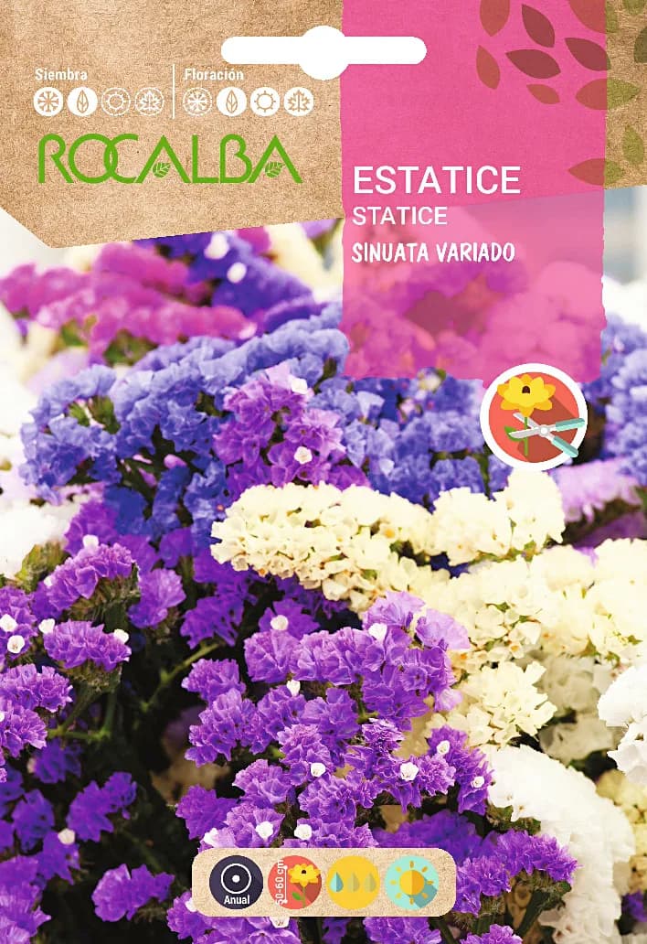 Semilla Estatice Sinuata Variada — foto principal