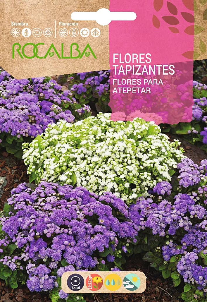 Semilla Flores Tapizantes — foto principal