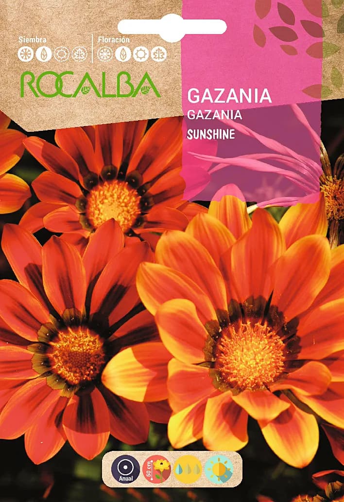 Semilla Gazania Sunshine, Mezcla Floristas — foto principal