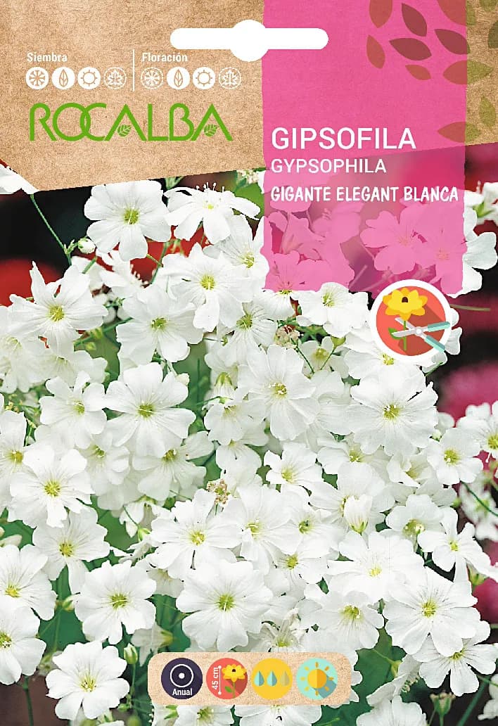 Semilla Gipsofilia Gigante Elegant. blanca — foto principal