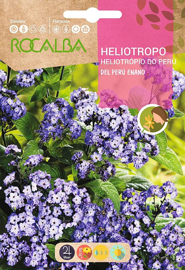 Semilla Heliotropo del Peru Enano Azul — foto principal