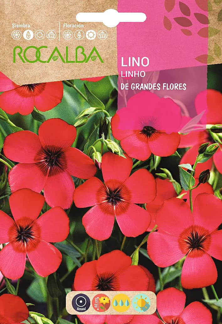 Semilla Lino de Grande Flores Rojo — foto principal