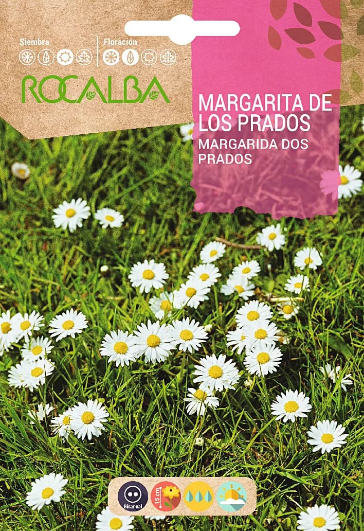Semilla Margarita de los Prados — foto principal
