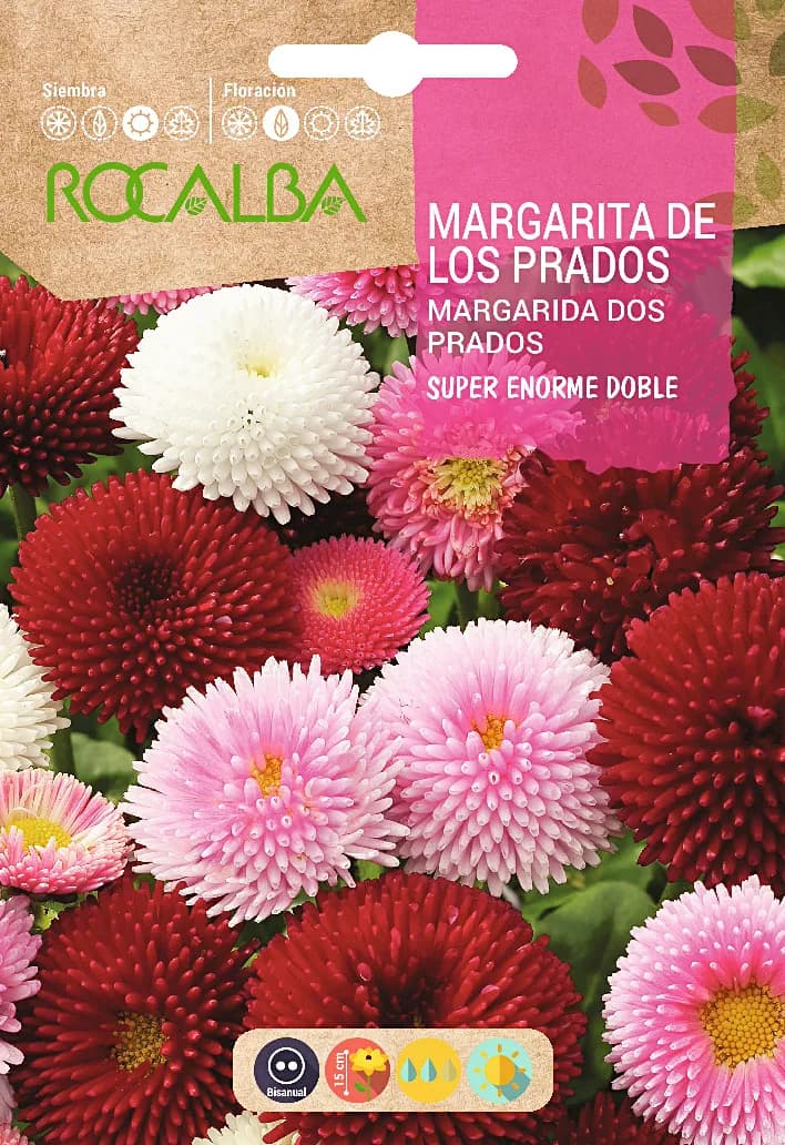Semilla Margarita de los Prados Super Enorme — foto principal