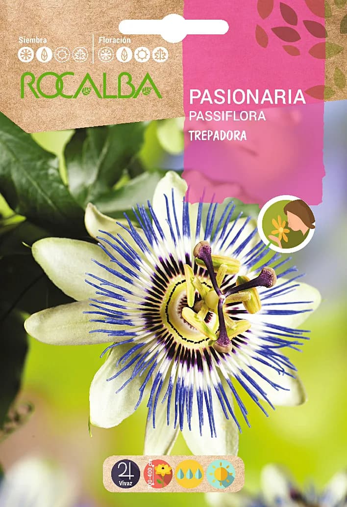 Semilla Pasionaria Trepadora — foto principal