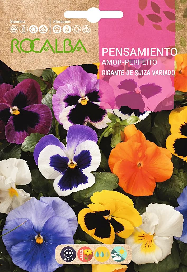 Semilla Pensamiento Gigante de Suiza Variado — foto principal