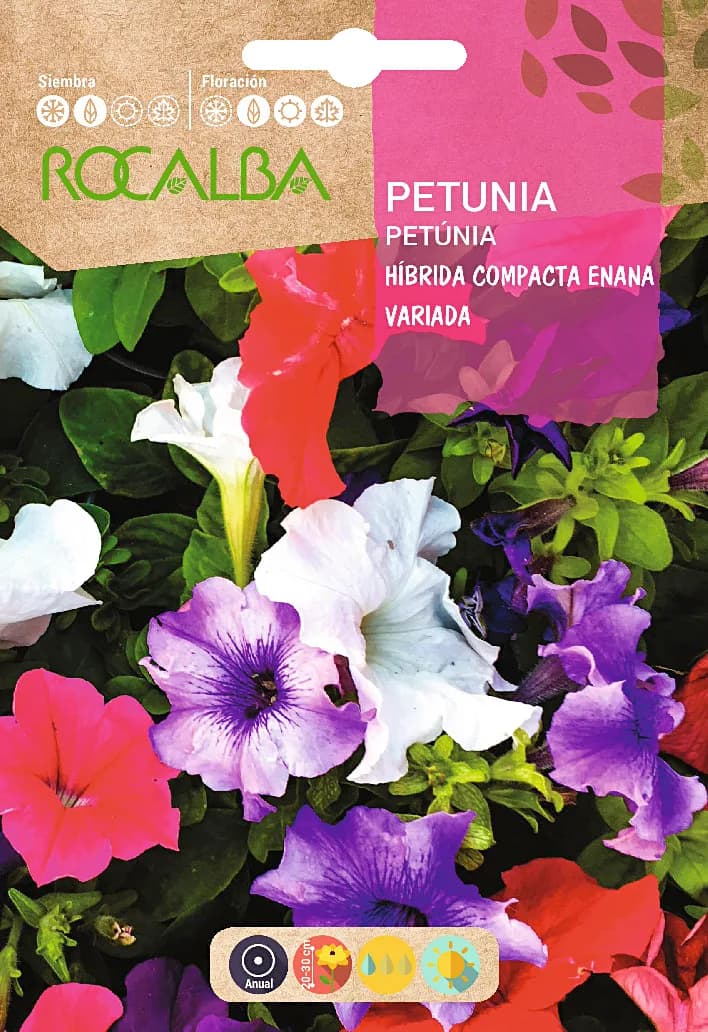 Semilla Petunia Hibrida Compacta Enana,variada — foto principal
