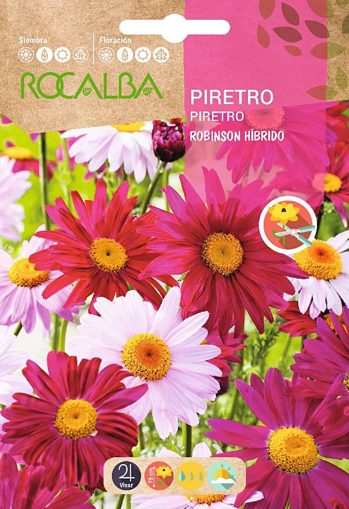 Semilla Piretro Robinson Hibrido Variado — foto principal