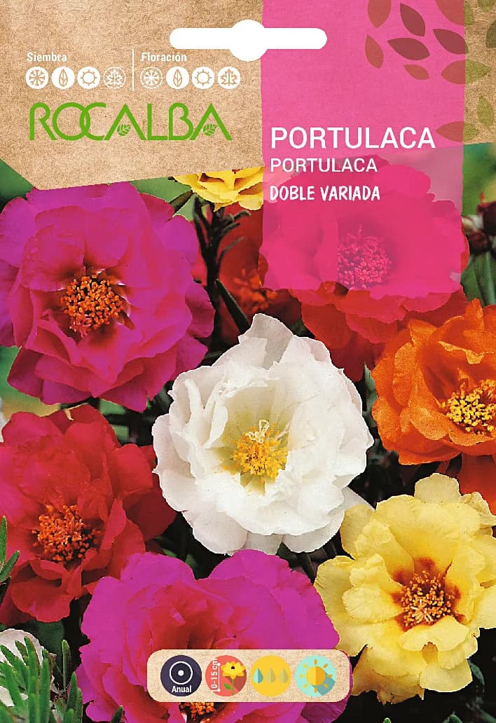 Semilla Portulaca Doble, Variada — foto principal