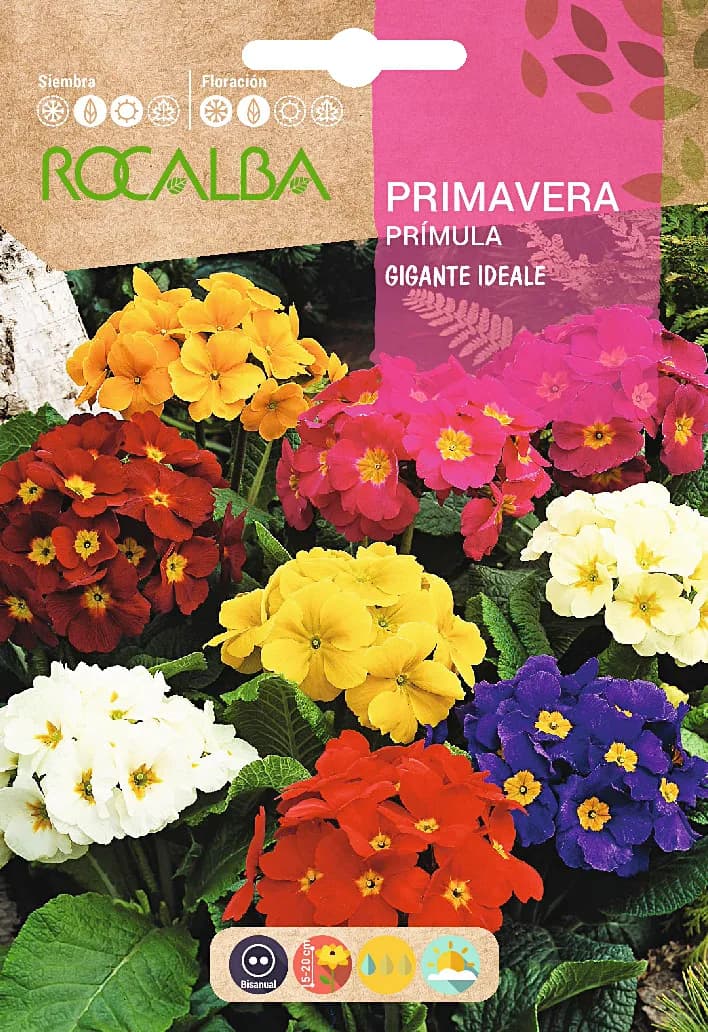Semilla Primavera Gigante Ideale — foto principal