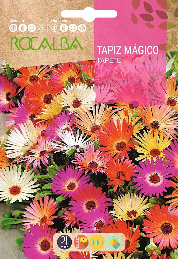 Semilla Tapiz Magico Ficoide Criniflorum — foto principal
