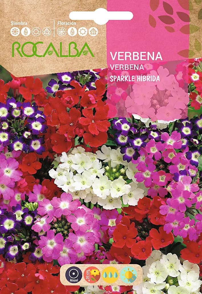 Semilla Verbena Sparkle Hibrida, Variada — foto principal