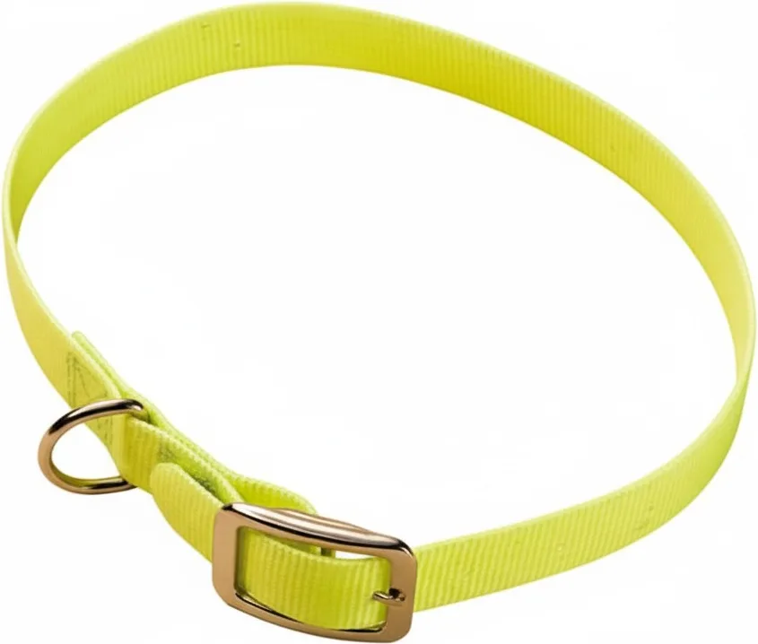 Collar Cinta Nylon Plastificada 65 x 2.5cm — foto principal