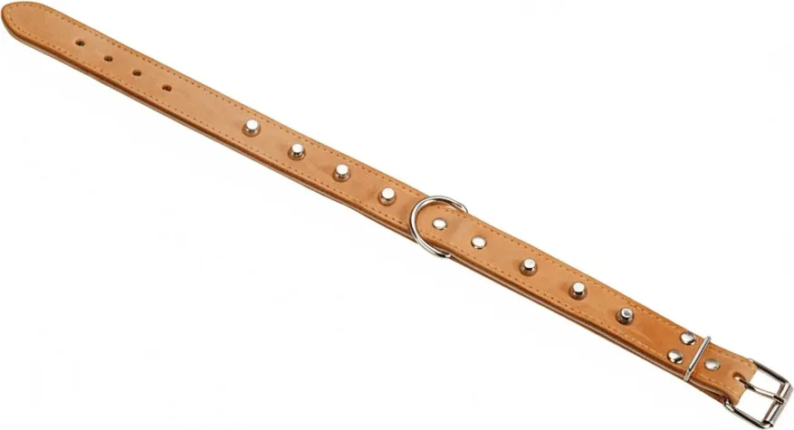 Collar Cuero Acolchado 60cm — foto principal