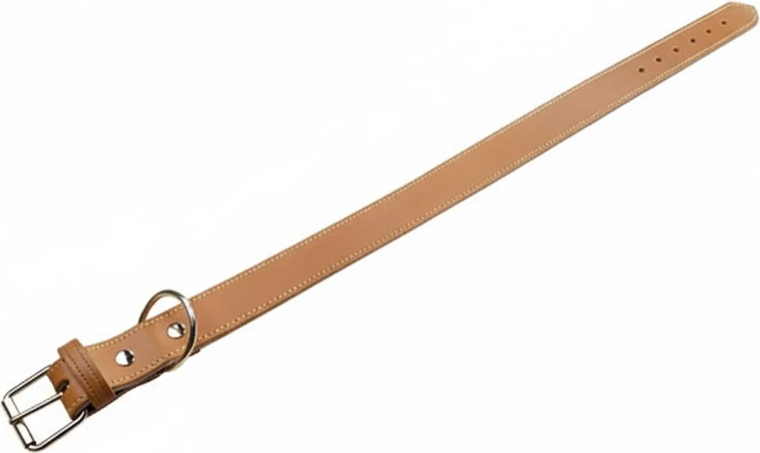 Collar Cuero Reforzado 65 x 3 cm. — foto principal