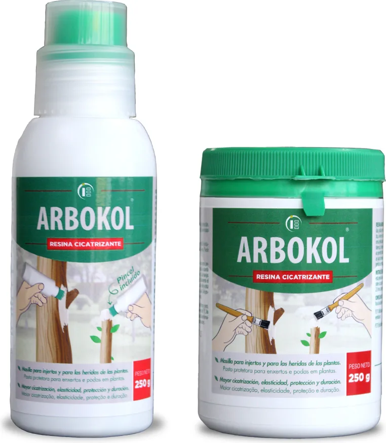 Arbokol Pasta Cicatrizante 250 gr — foto principal