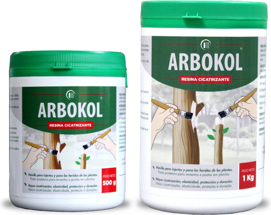 Arbokol Pasta Cicatrizante 500 gr — foto principal