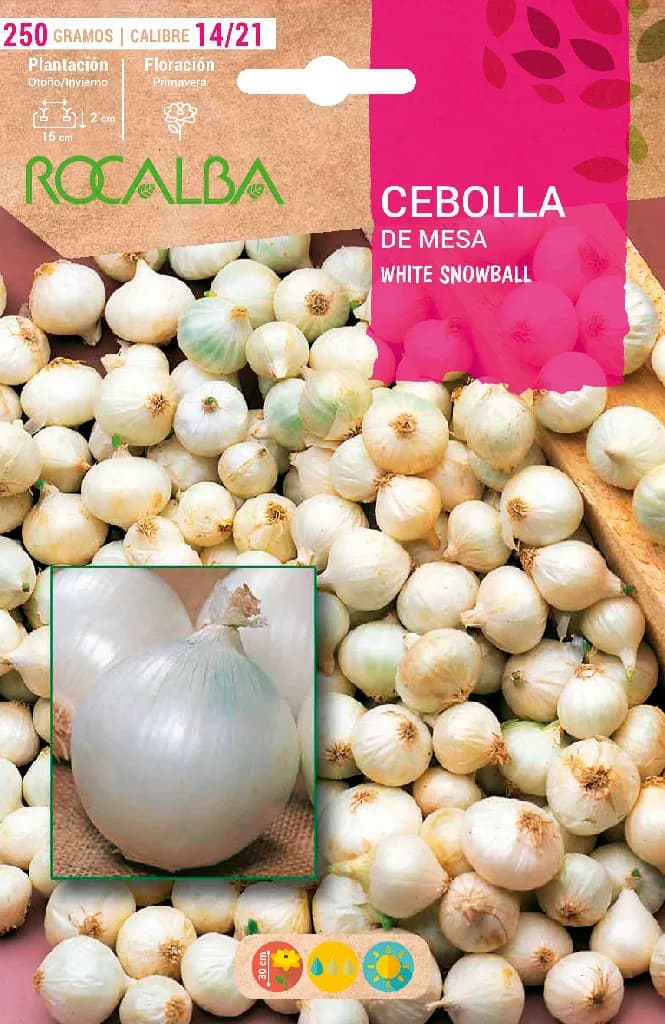 Semilla Bulbo Cebolla White Snowball Calibre 14/21 250 Gramos — foto principal