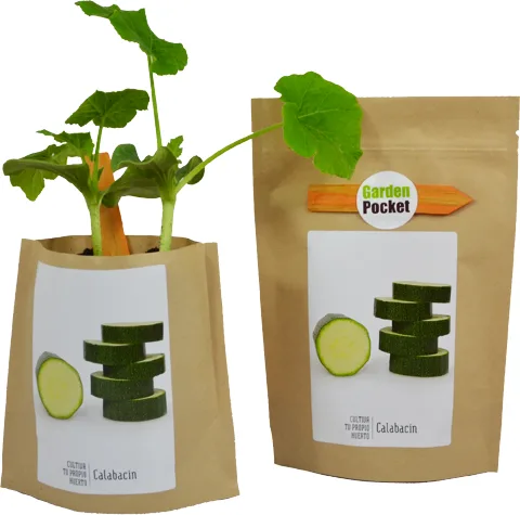 kit Huerto Pocket Calabacin — foto principal