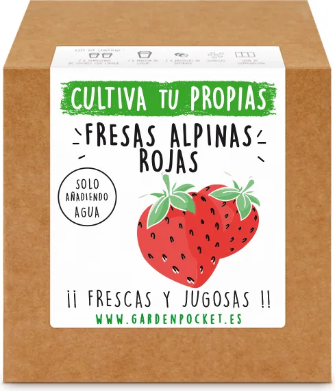 Kit Brotes Pocket Fresas Rojas — foto principal