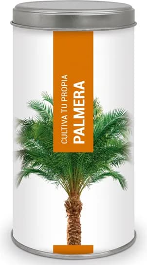 Kit Cultiva Tu Propia Palmera — foto principal