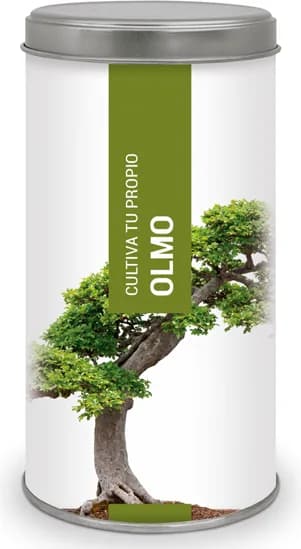 Kit Cultiva Tu Propio Olmo — foto principal