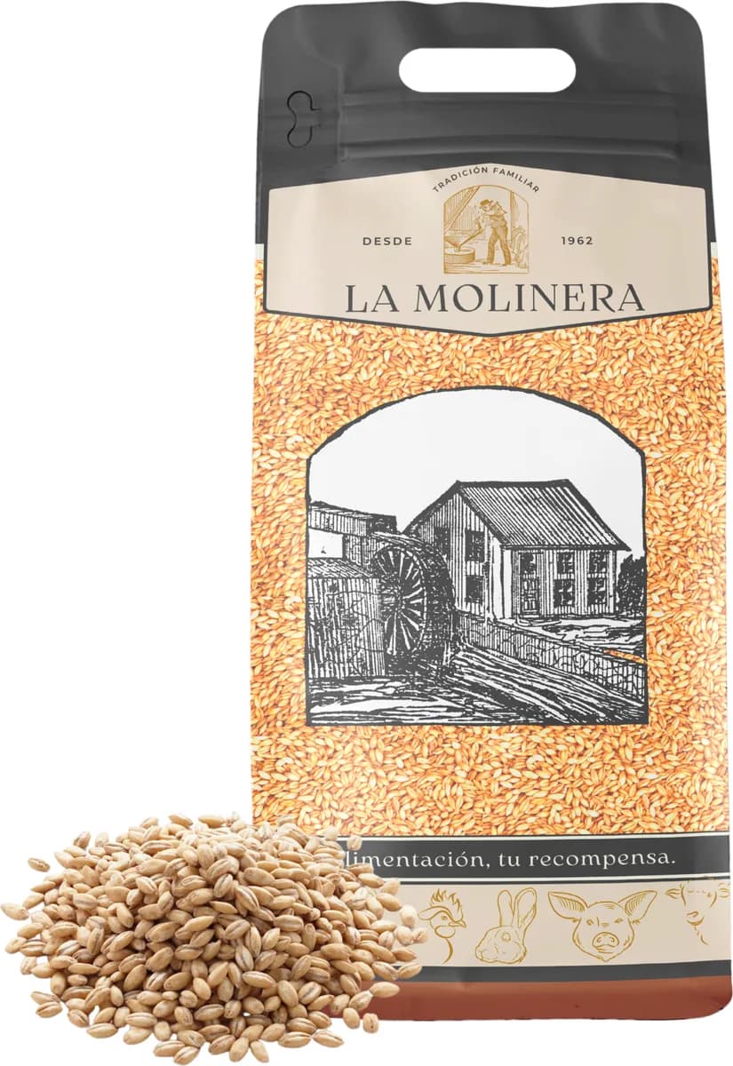 Cebada en Grano 10 kg — foto principal
